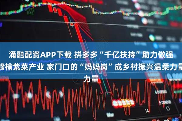 涌融配资APP下载 拼多多“千亿扶持”助力做强赣榆紫菜产业 家门口的“妈妈岗”成乡村振兴温柔力量